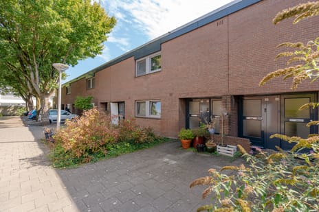 Tholenseweg 48