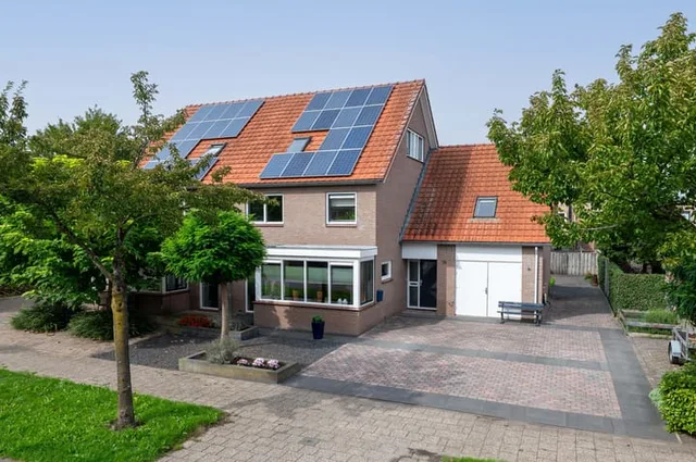 Groene Specht 18