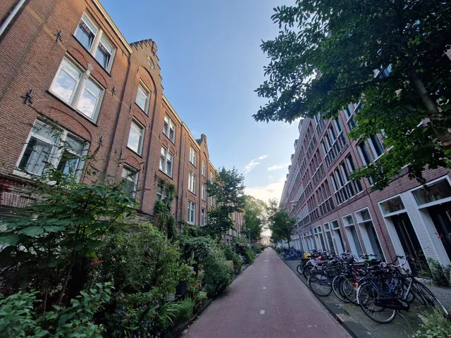 Czaar Peterstraat