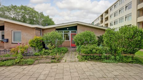Pieter de Hoochstraat 17
