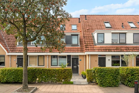 Riedermeet 43