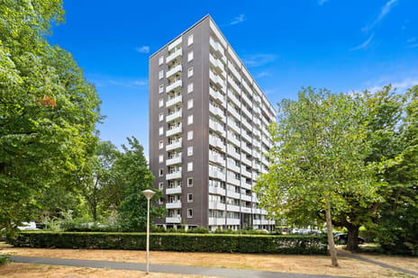 Roggekamp 527