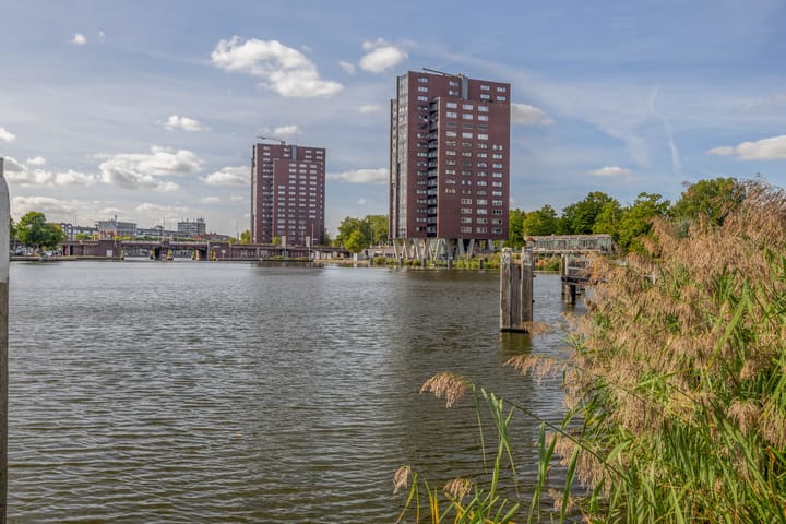 Coolhaven 549