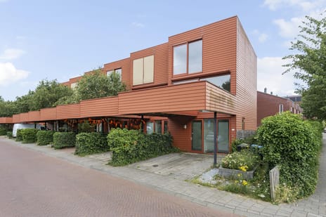 Zenegroen 16