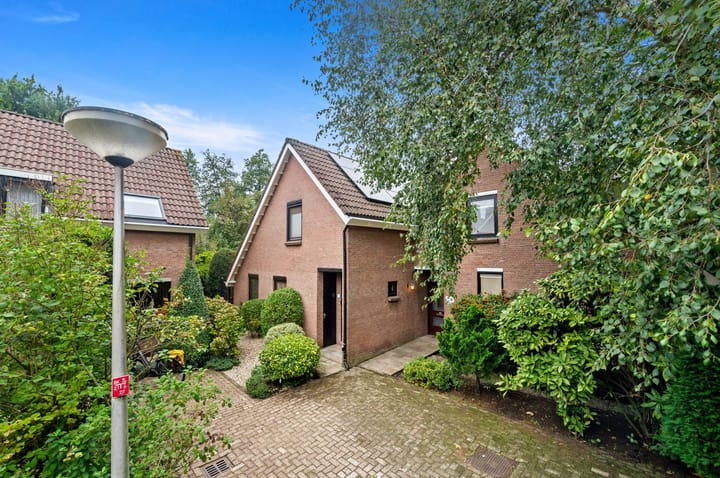 Haagwinde 31