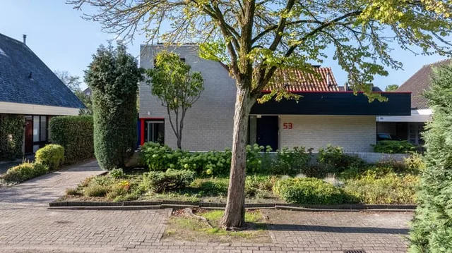 van der Grijnstraat 53