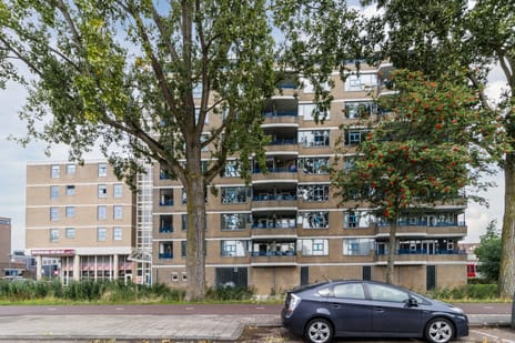 Rietdekkerweg 100