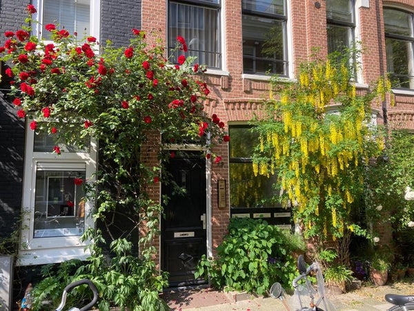 Saenredamstraat 29 A