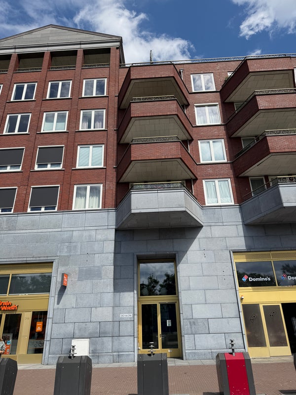 Grauwaartsingel