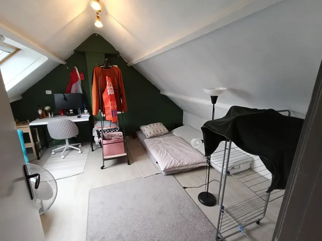 Iepenlaan