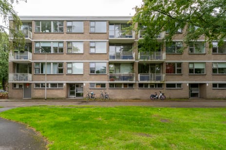 Kasteel Nijenrodestraat 199