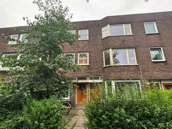 Petrus Campersingel
