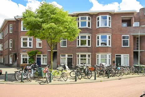Maystraat 141