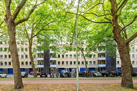 Van Nijenrodeweg 298