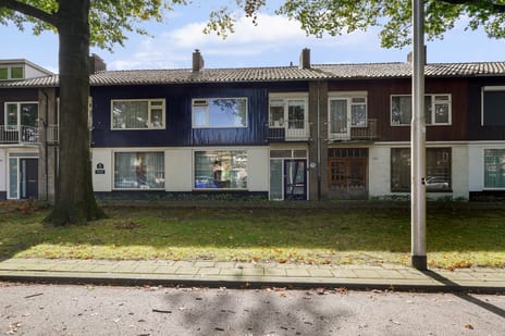 Lage Witsiebaan 252
