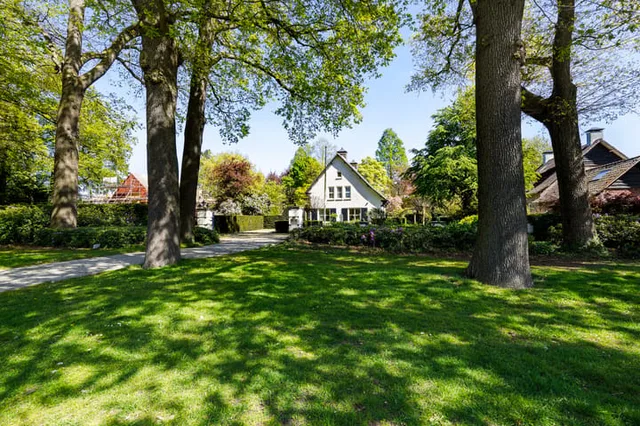van Brederodelaan 5