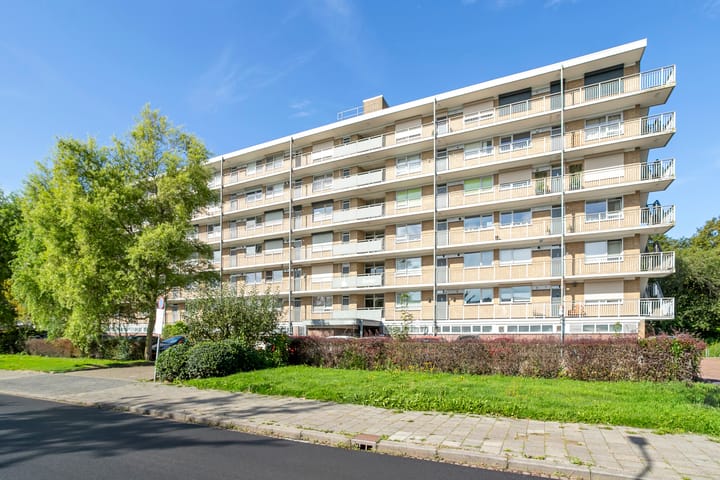 Hobokenstraat 95