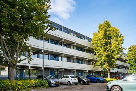 Veenbes 43