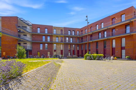 Scholenhof 8