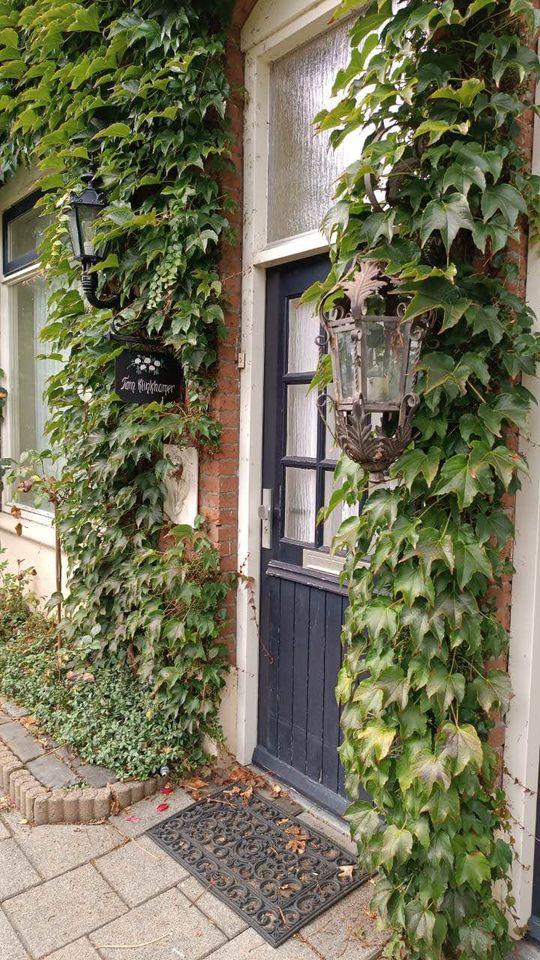 Zuiderstraat