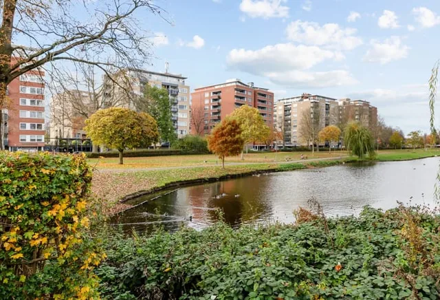 Maalbroek