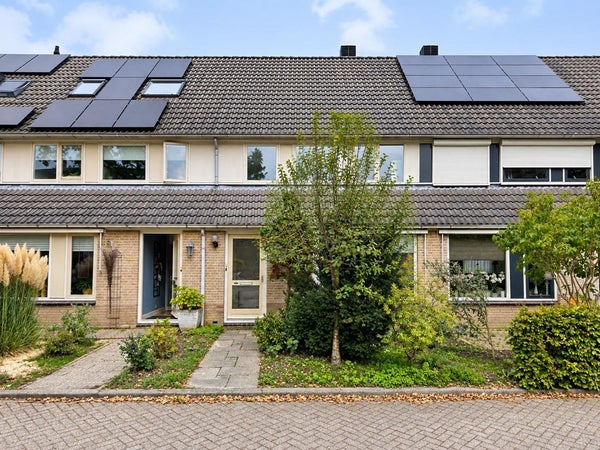 Dubloen 84