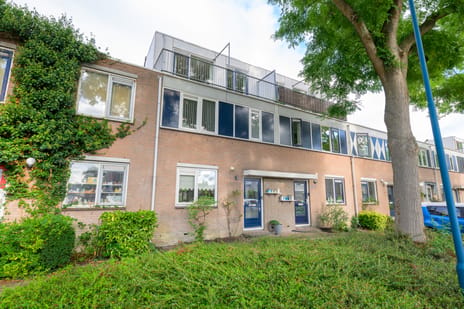 Hemelsblauw 49