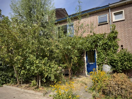 Adriaan van Ostadestraat 34