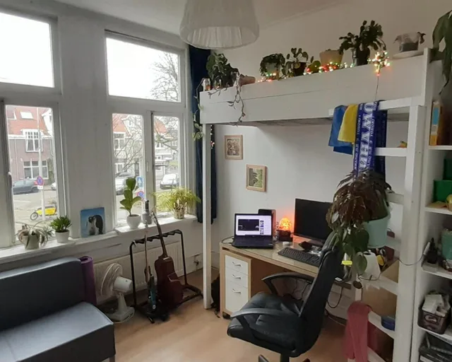 Brederoplein