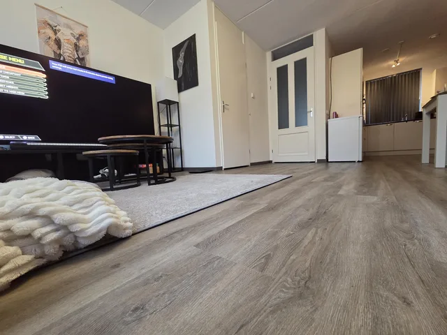 Ivoorwit