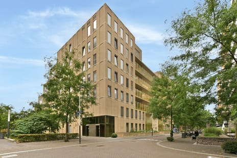 Rosy Wertheimstraat 46