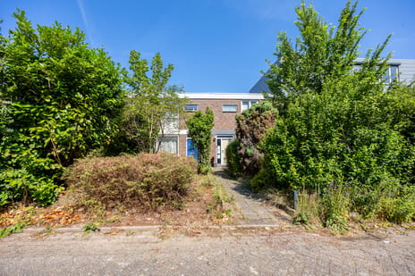 Troelstrastraat 16