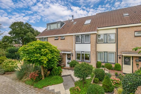van Limburg Stirumplantsoen 24
