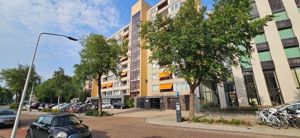 Bachstraat