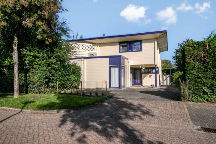 Krachtenveld 46