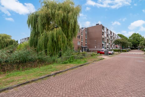 Zonnebloemstraat (Bouwnr. 102)