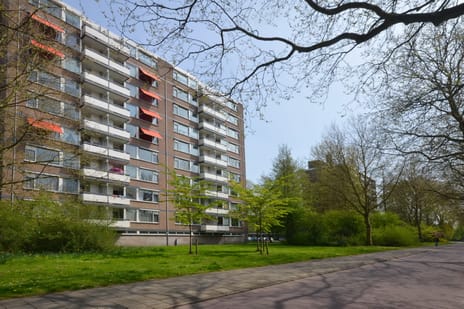 Bolestein 678