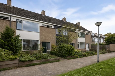 Ruigezandplantsoen 16