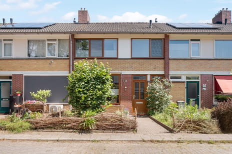 Paulus Potterstraat 19
