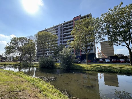 Saffierstraat 150