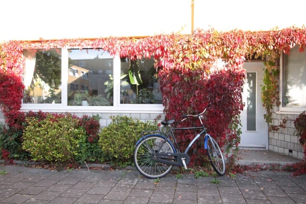 Slachthuisstraat 222