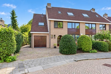 Zalm 54