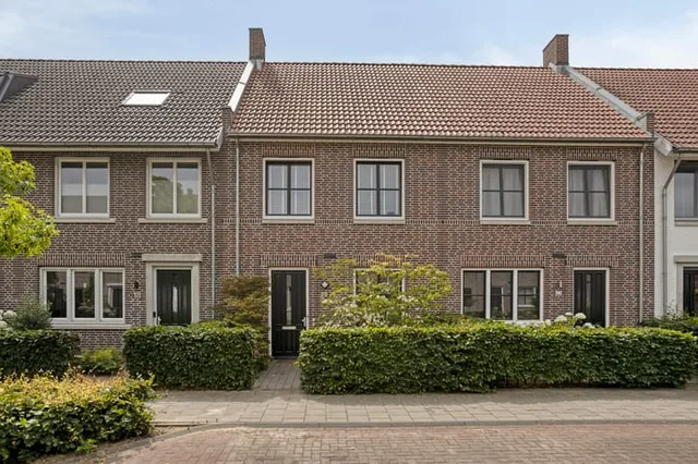 Zwartbont 20