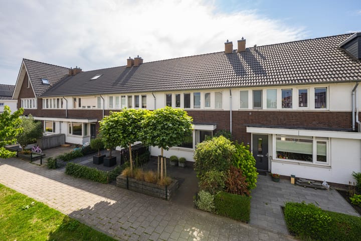 Aardbeivlinder 178