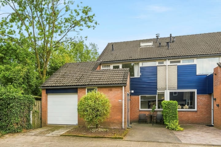 Lieshoutstraat 113