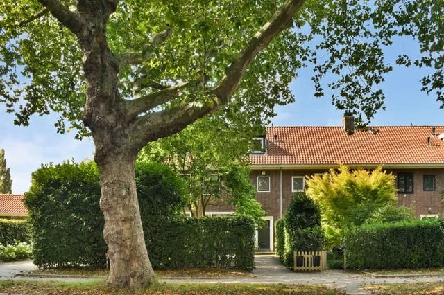 Molenlaan 258