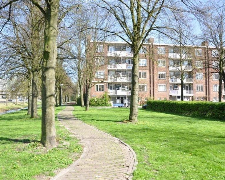 Johannes Meewisstraat