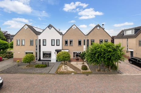 Rijnse Gulden 11