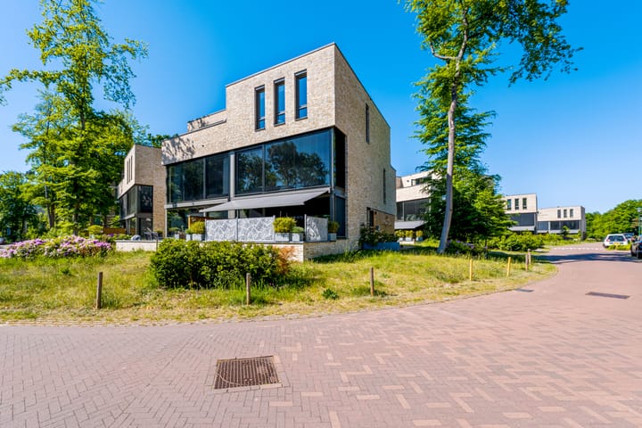 Struikheidelaan 55