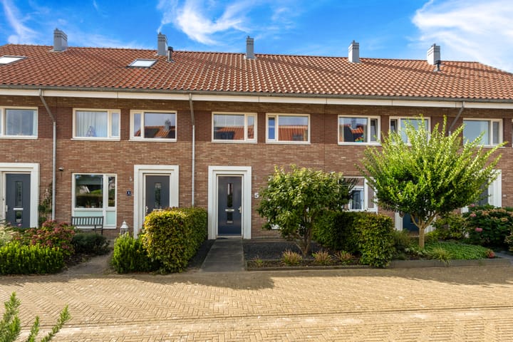 Damvecht 5